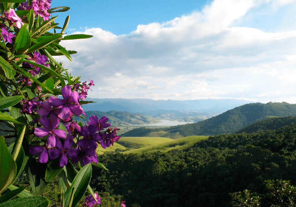 itatiaia