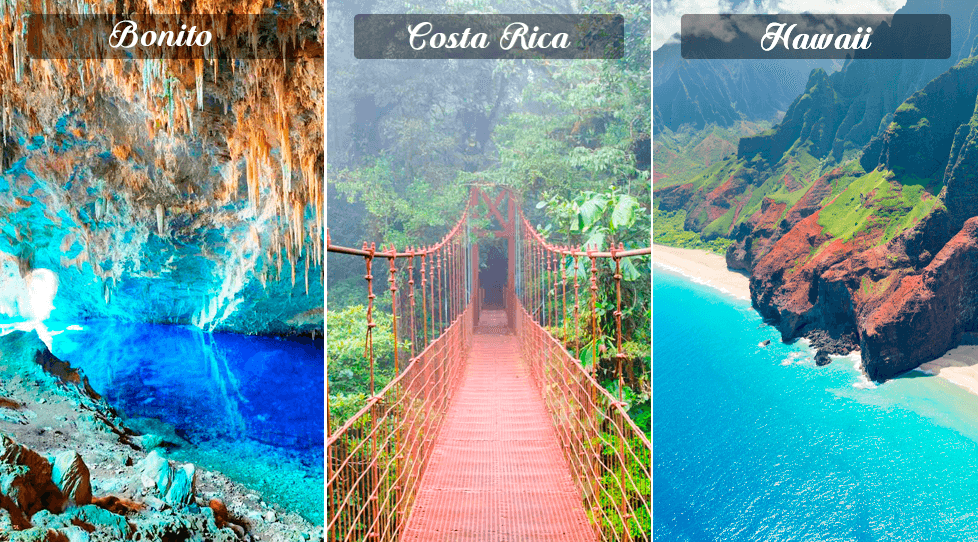 blog-natureza