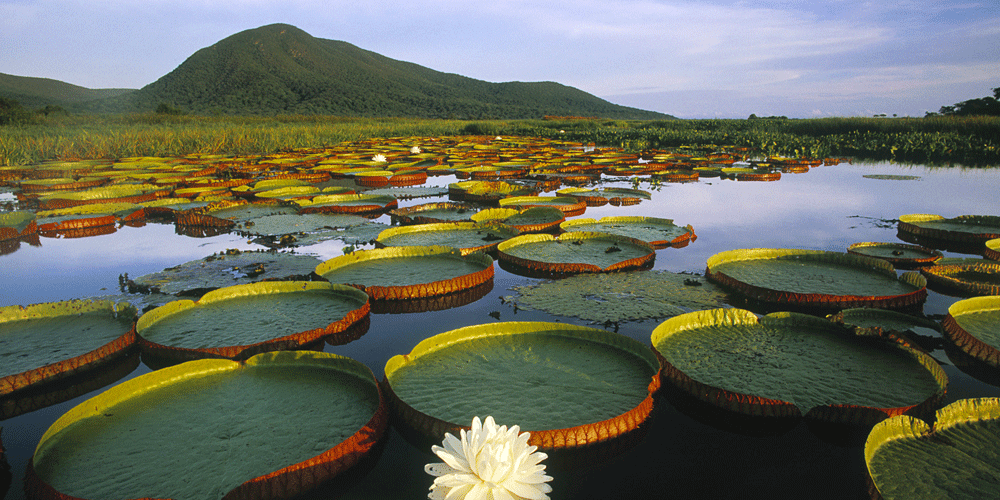 17-pantanal-mochileiros-paisagens