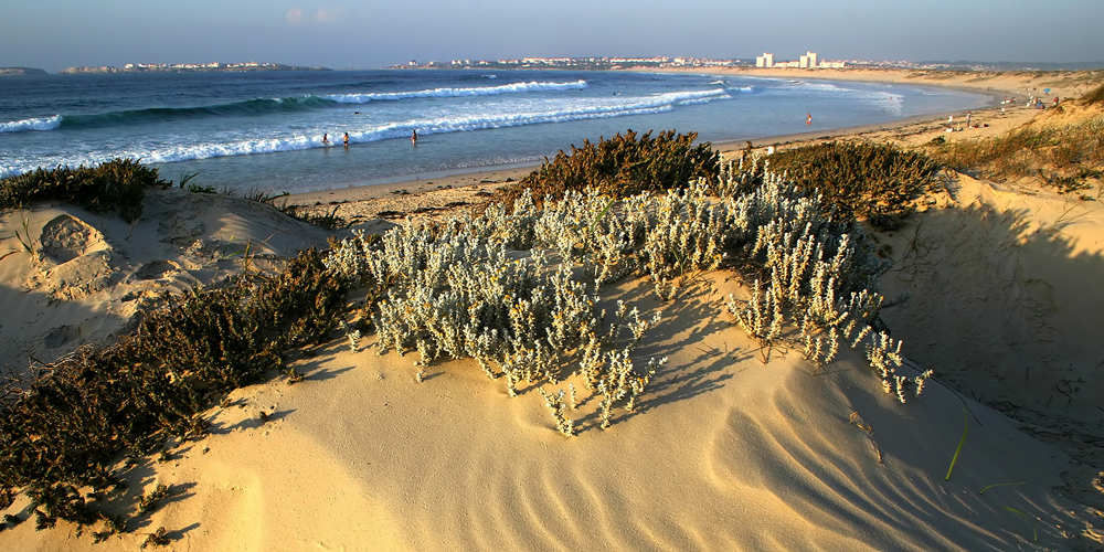 ondas-em-peniche-acomodacao-hospedagem-bigblue-viagens-floripa