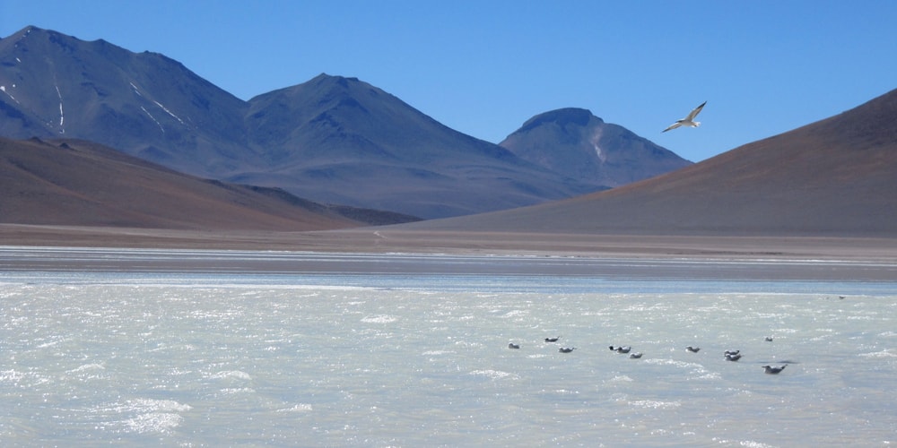 salar-de-uyuni-viajar-sem-passaporte-bigblue-viagens